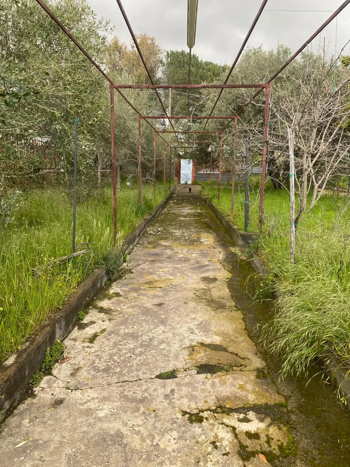 Terreno con deposito Mascalucia · foto 19
