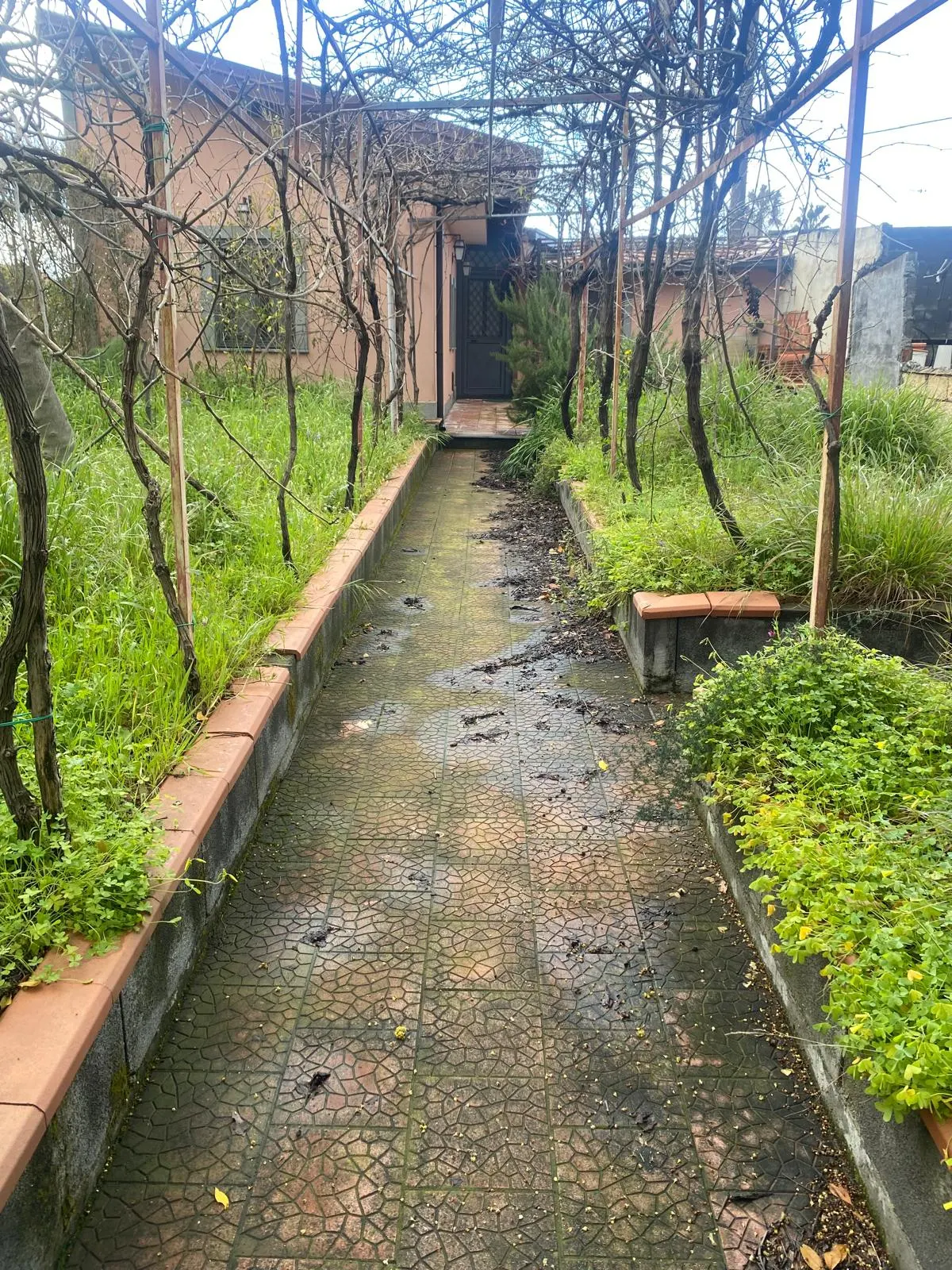 Terreno con deposito Mascalucia · foto 23