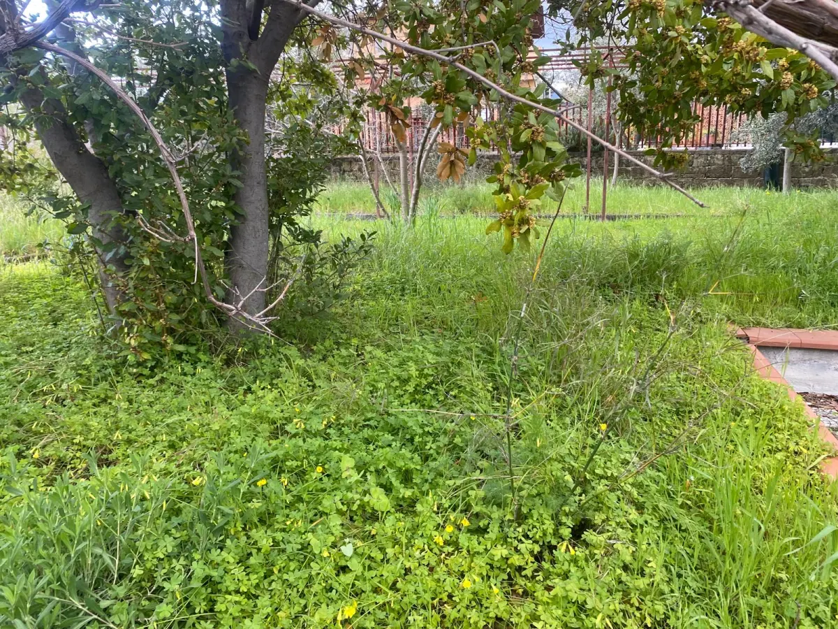 Terreno con deposito Mascalucia · foto 25