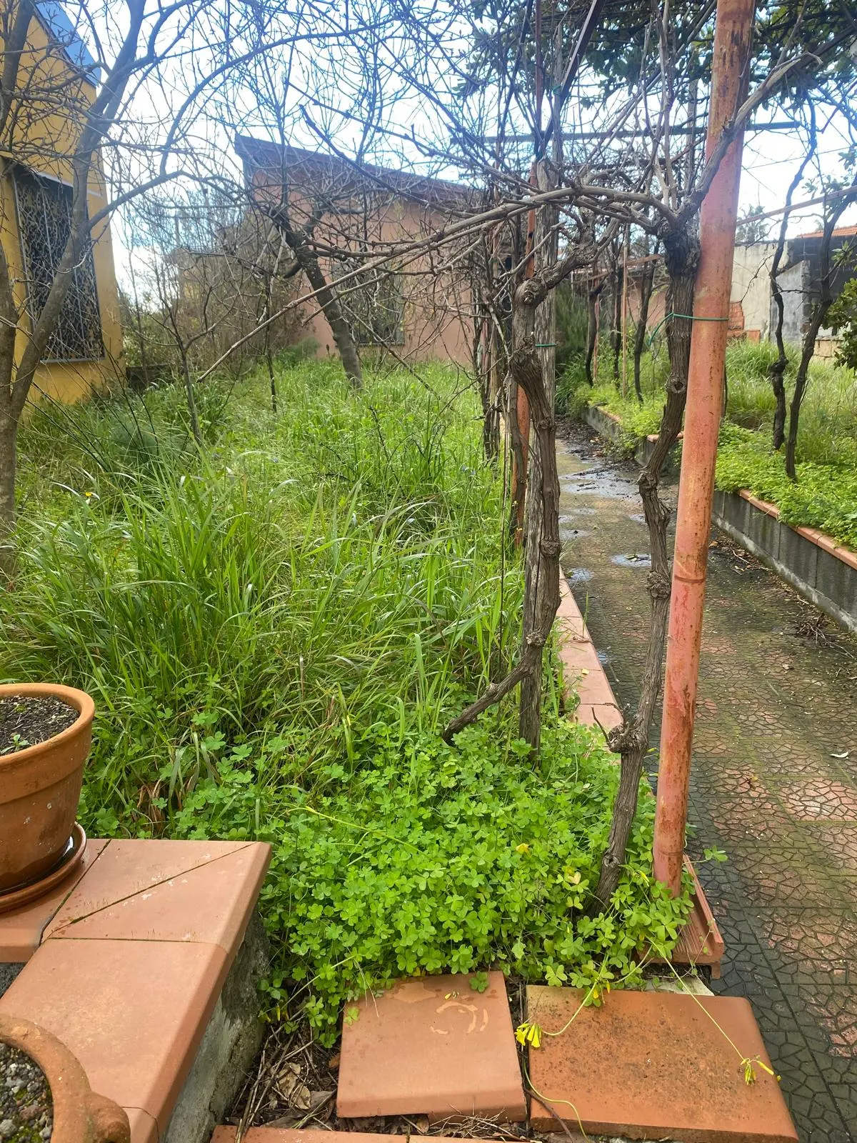 Terreno con deposito Mascalucia · foto 27