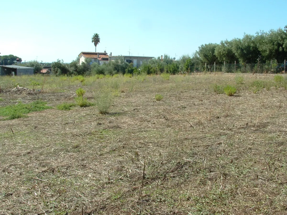 CANCELLIERA. TERRENO CON MANUFATTI · foto 16