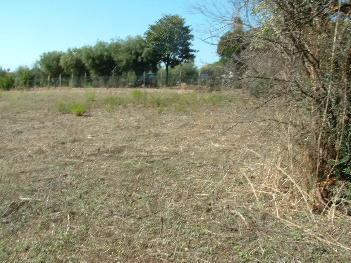 CANCELLIERA. TERRENO CON MANUFATTI · foto 19