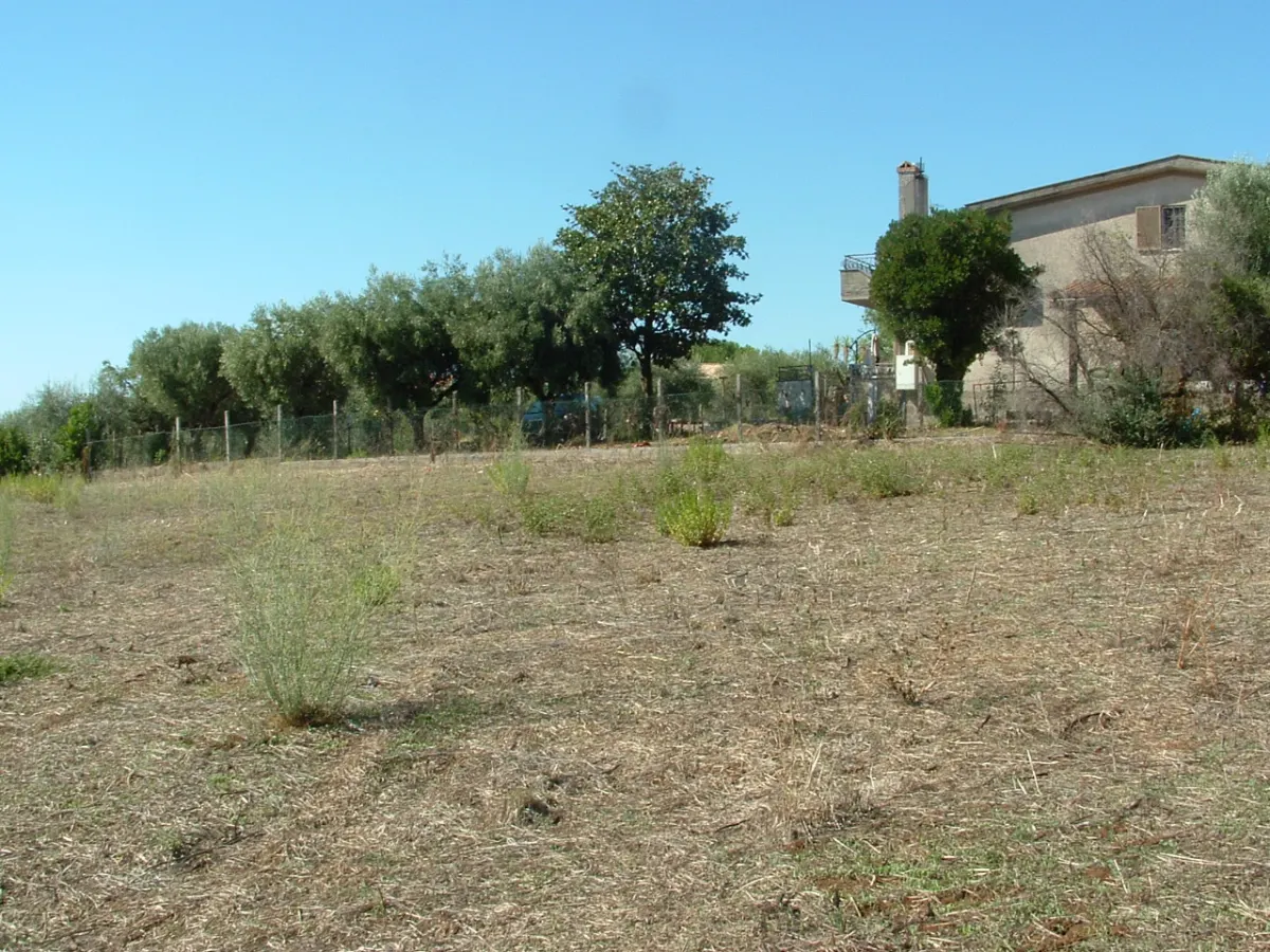 CANCELLIERA. TERRENO CON MANUFATTI · foto 22