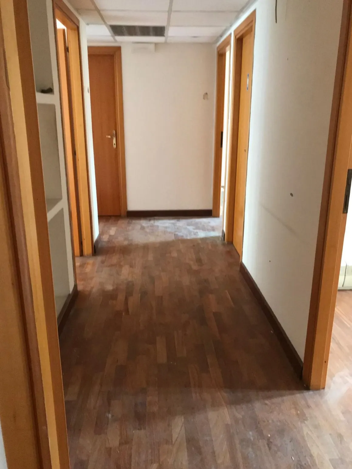 Affitto ufficio Piazzale Flaminio · foto 11