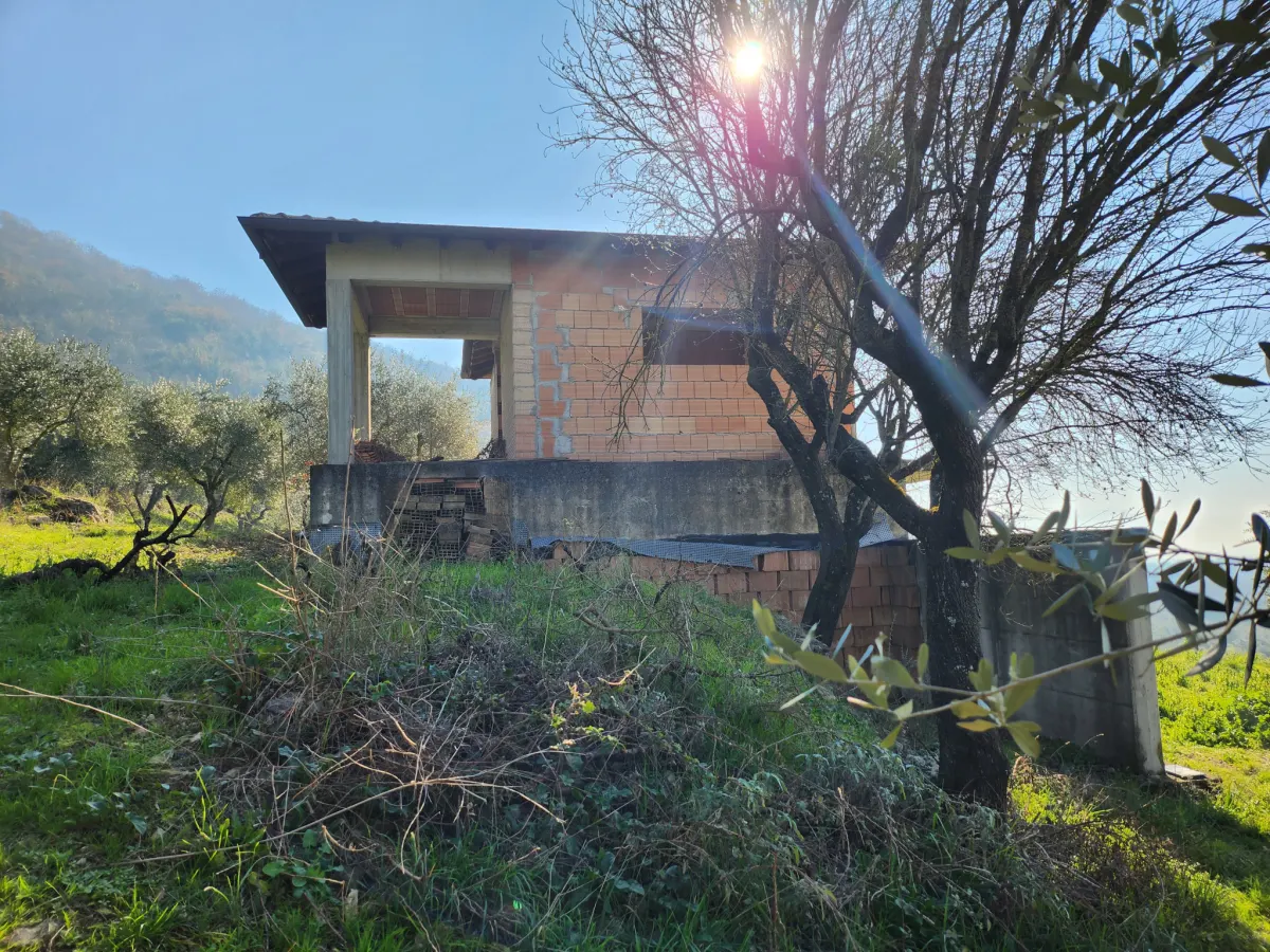 Terreno in zona collinare con fabbricato · foto 6