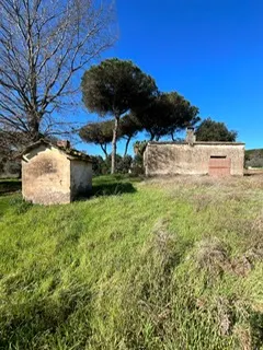 rudere ricadente su terreno di circa 2 ettari a Nettuno