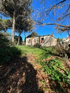 rudere ricadente su terreno di circa 2 ettari · foto 11