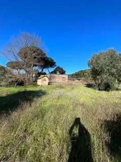 rudere ricadente su terreno di circa 2 ettari · foto 12