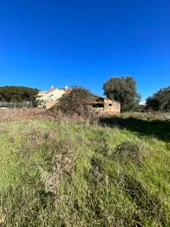 rudere ricadente su terreno di circa 2 ettari · foto 13