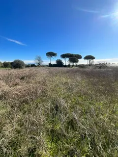 rudere ricadente su terreno di circa 2 ettari · foto 14