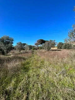 rudere ricadente su terreno di circa 2 ettari · foto 15