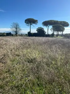 rudere ricadente su terreno di circa 2 ettari · foto 16