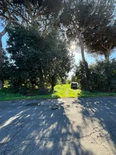 rudere ricadente su terreno di circa 2 ettari · foto 3