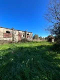 rudere ricadente su terreno di circa 2 ettari · foto 5
