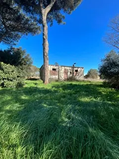rudere ricadente su terreno di circa 2 ettari · foto 7