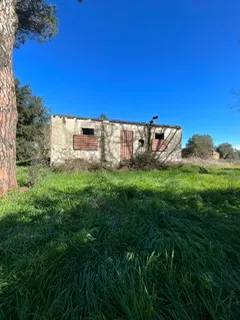 rudere ricadente su terreno di circa 2 ettari · foto 8