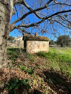 rudere ricadente su terreno di circa 2 ettari · foto 9