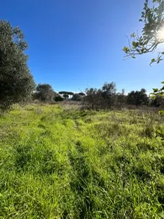 rudere ricadente su terreno di circa 2 ettari · foto 10