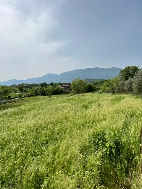 Terreno di 6000 mq · foto 10