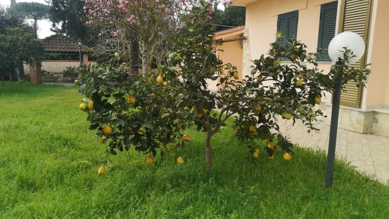 casa indipendente con piscina · foto 2