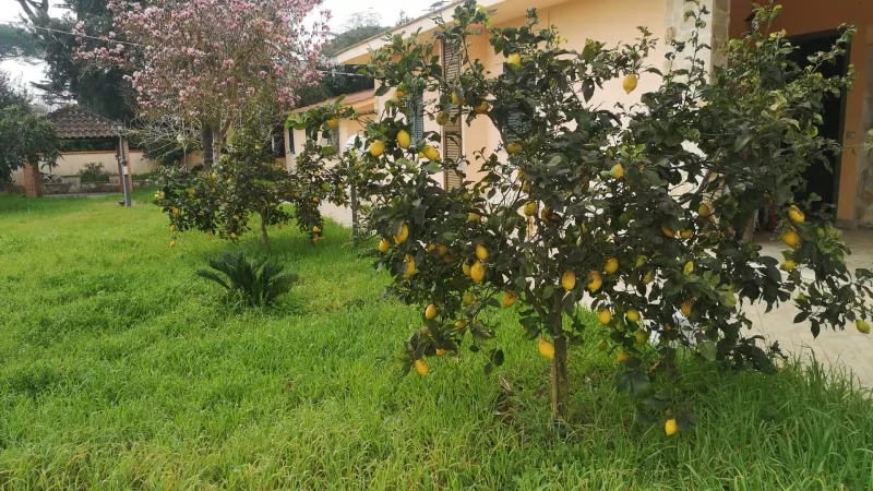 casa indipendente con piscina · foto 3