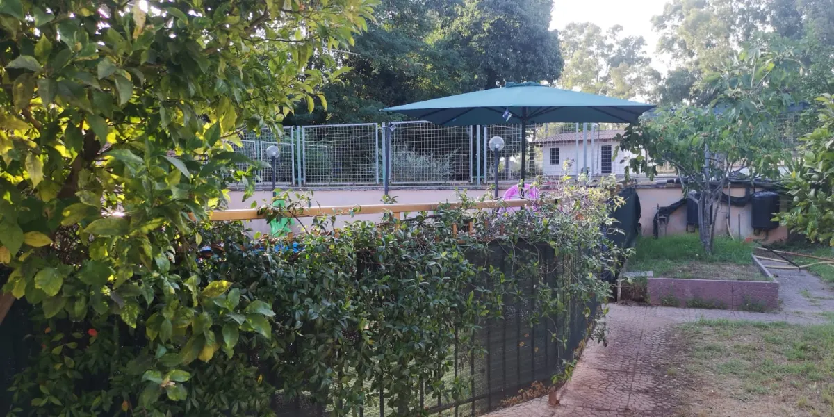 casa indipendente con piscina · foto 6