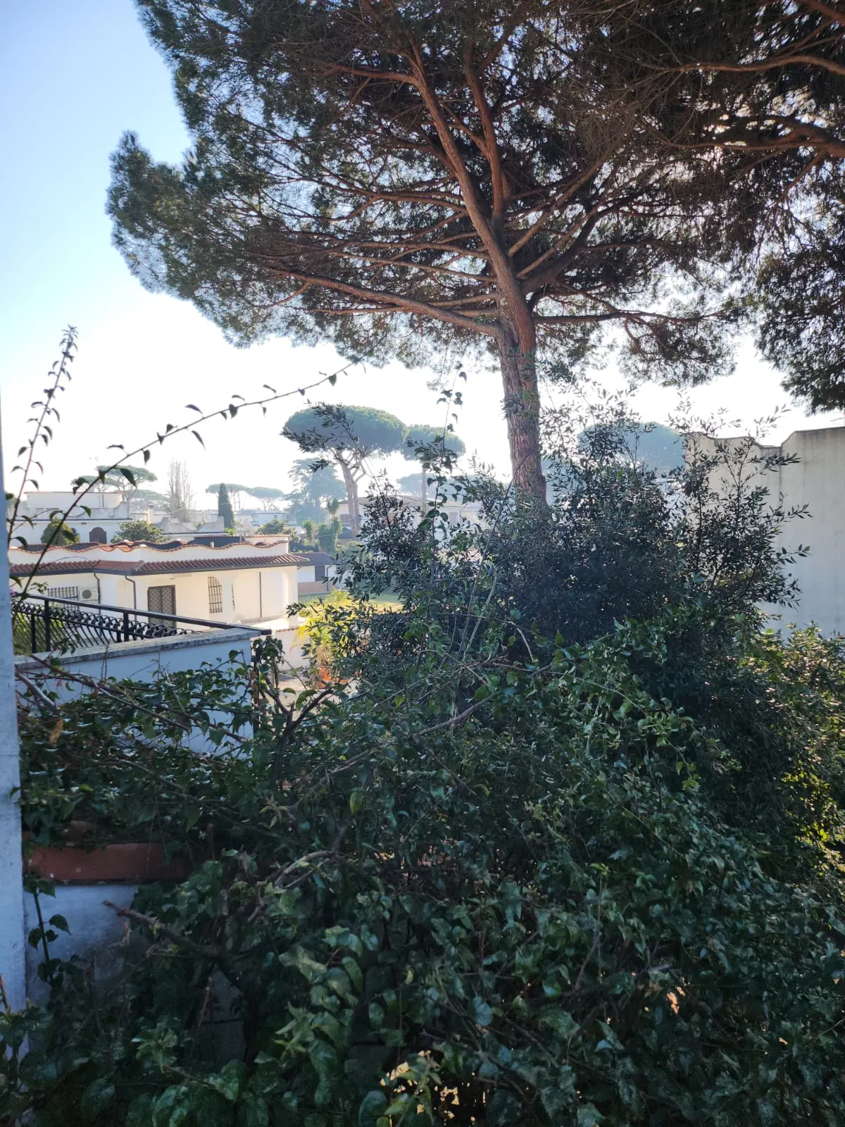 Villetta a schiera · foto 23