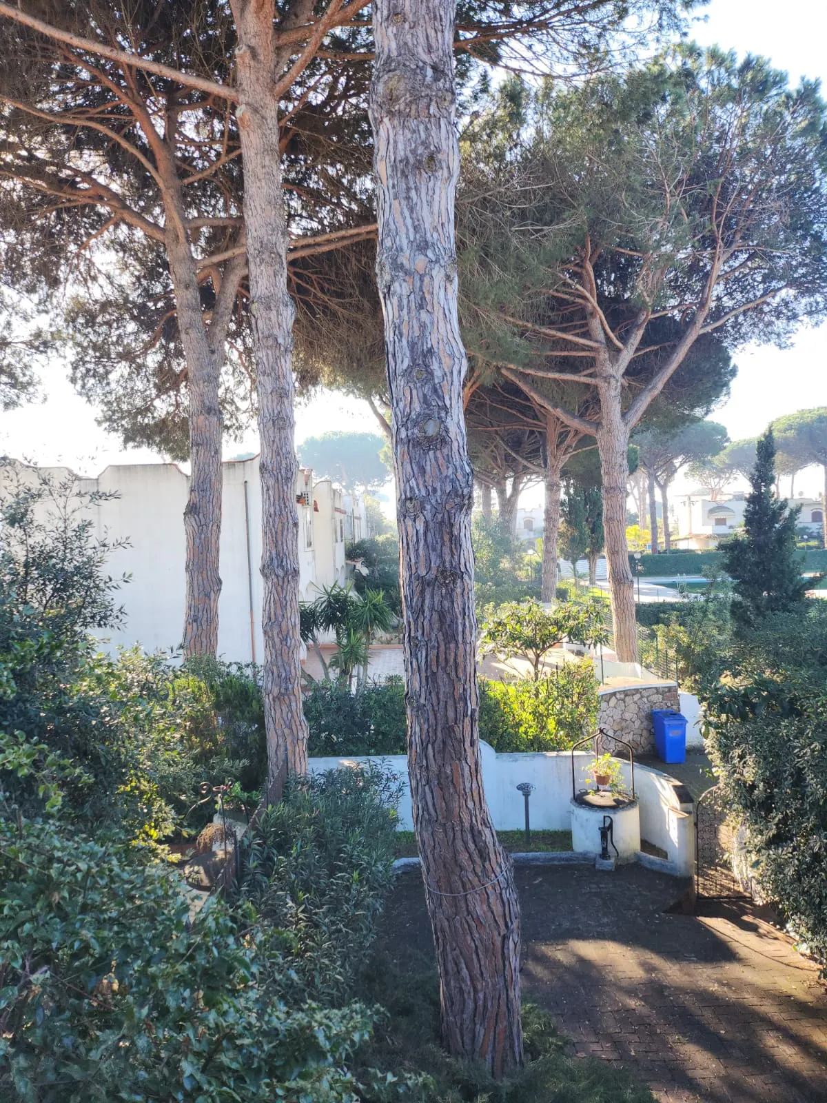 Villetta a schiera · foto 25
