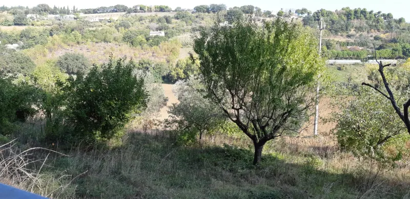 Montecosaro Terreno agricolo a Montecosaro