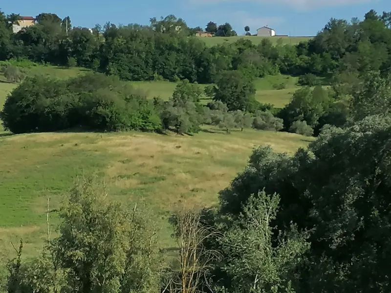 Terreno agricolo con ulivi e fonte di mq. 35.000 ottima esposizione con rudere e annessi per totali mq. 300 a Corridonia