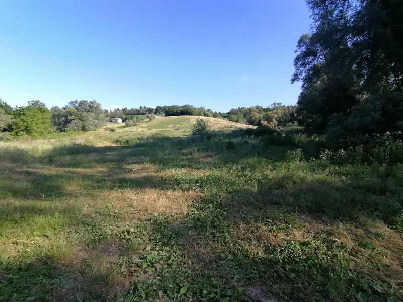 Terreno agricolo con ulivi e fonte di mq. 35.000 ottima esposizione con rudere e annessi per totali mq. 300 · foto 2