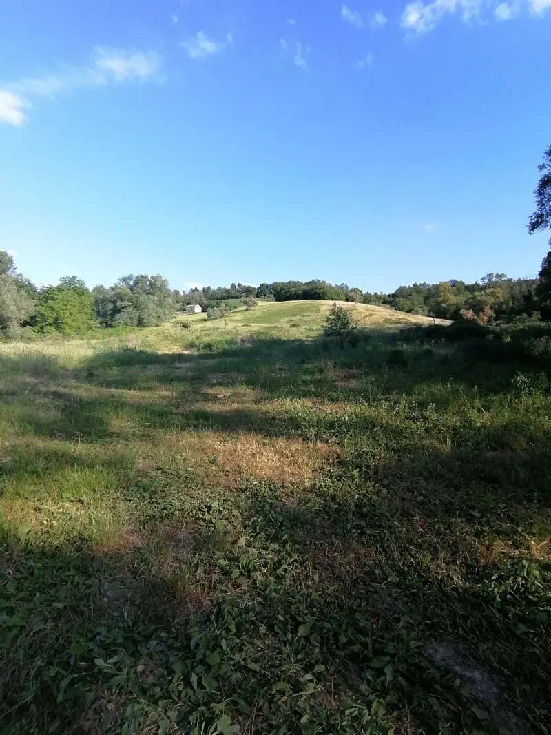 Terreno agricolo con ulivi e fonte di mq. 35.000 ottima esposizione con rudere e annessi per totali mq. 300 · foto 3