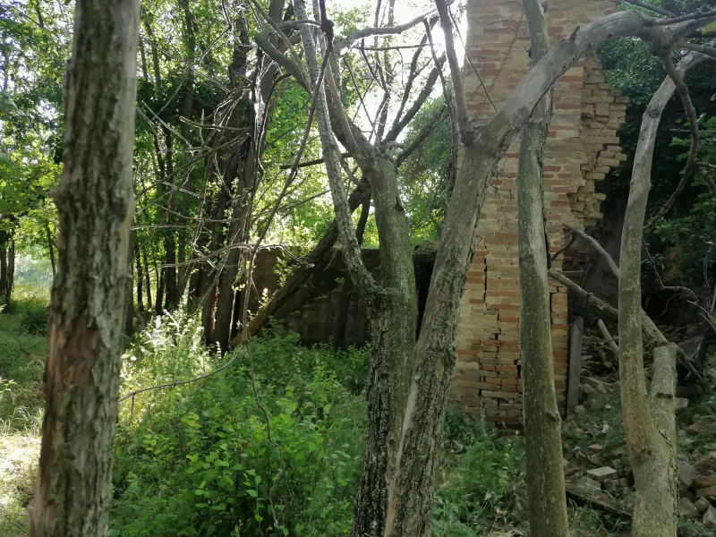Terreno agricolo con ulivi e fonte di mq. 35.000 ottima esposizione con rudere e annessi per totali mq. 300 · foto 5