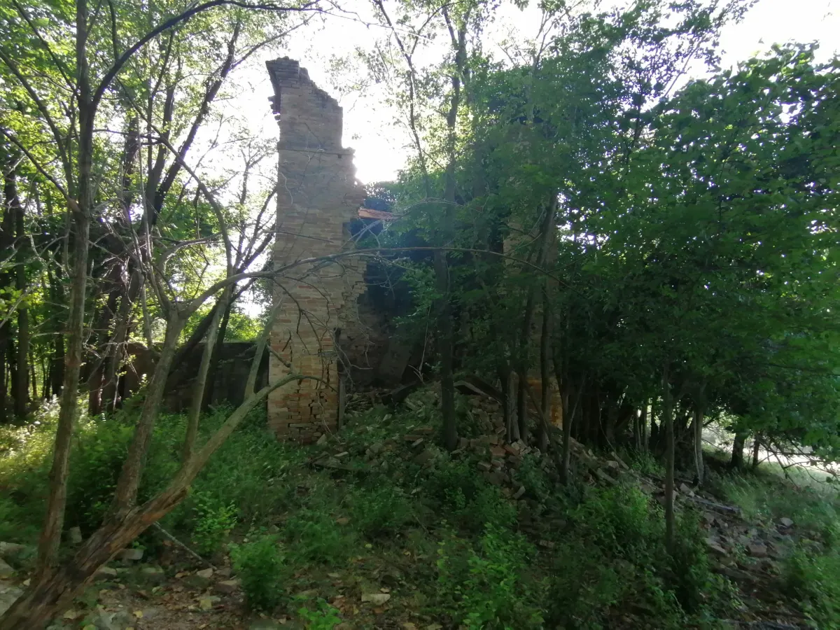 Terreno agricolo con ulivi e fonte di mq. 35.000 ottima esposizione con rudere e annessi per totali mq. 300 · foto 7