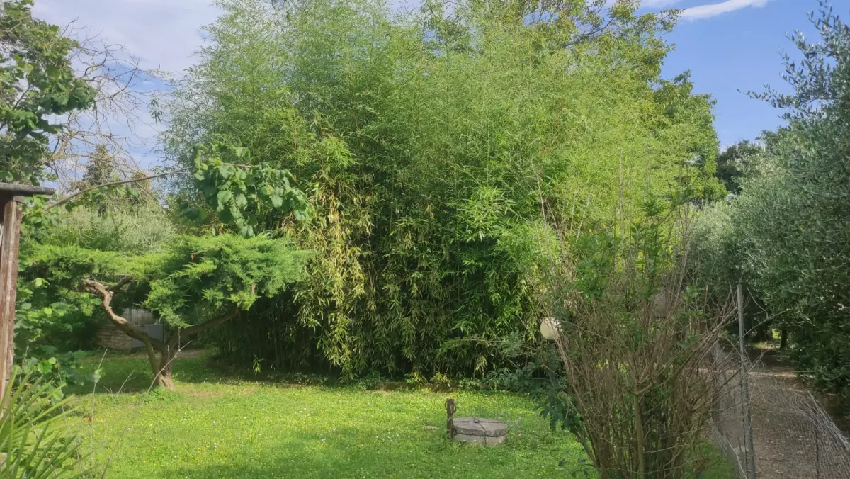 Appartamento al piano terra di ampia metratura con ingresso indipendente e ampio porticato con 1900 mq. di giardino in casale marchigiano · foto 12