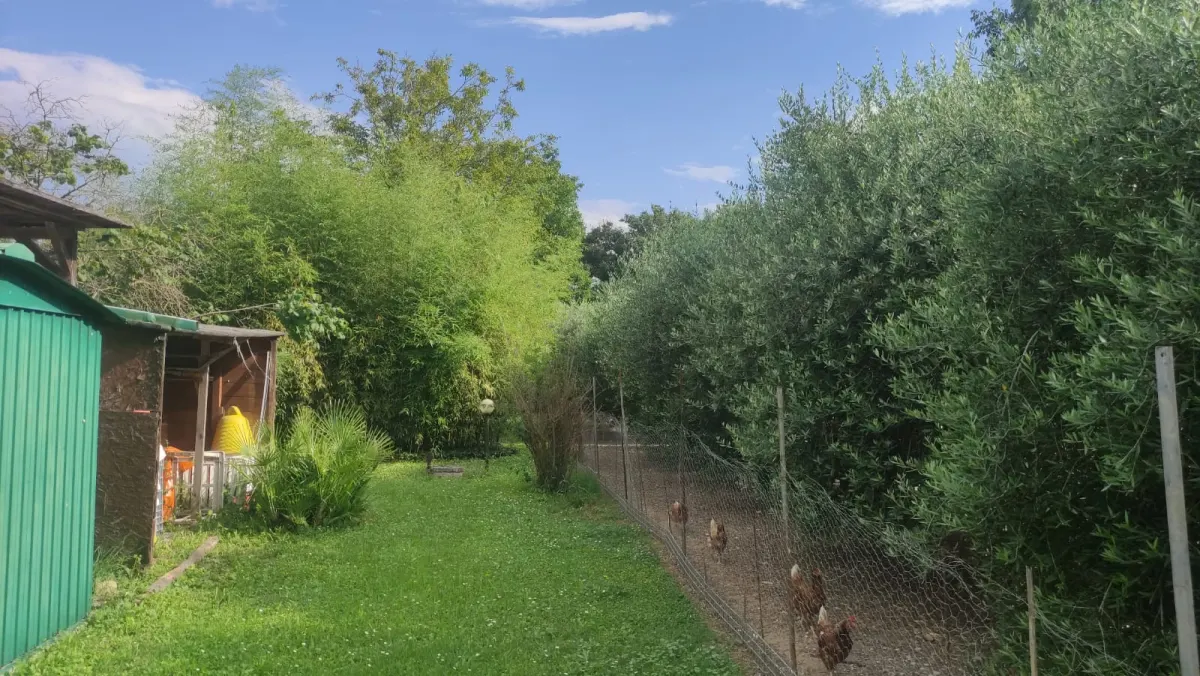 Appartamento al piano terra di ampia metratura con ingresso indipendente e ampio porticato con 1900 mq. di giardino in casale marchigiano · foto 14