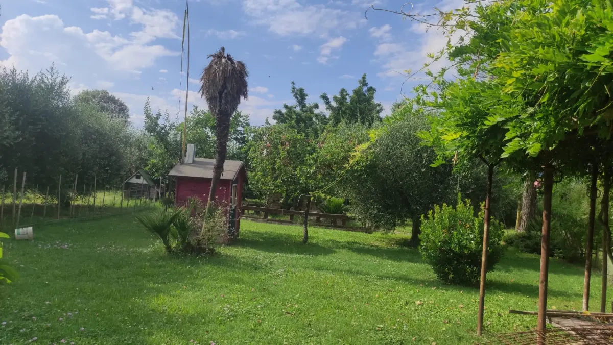 Appartamento al piano terra di ampia metratura con ingresso indipendente e ampio porticato con 1900 mq. di giardino in casale marchigiano · foto 15