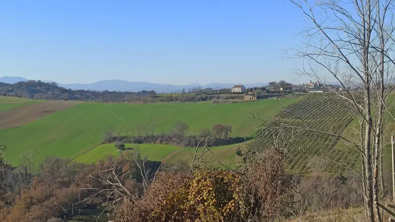 villino singolo · foto 4