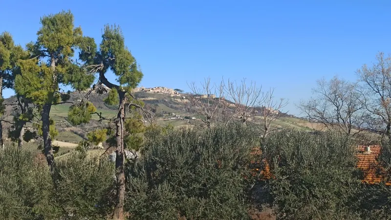 villino singolo · foto 5