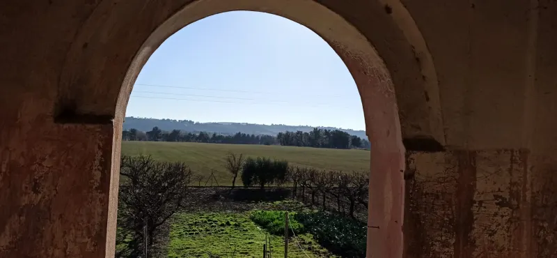 Casale marchigiano su 2 livelli con annesso e corte esclusiva piantumata · foto 3