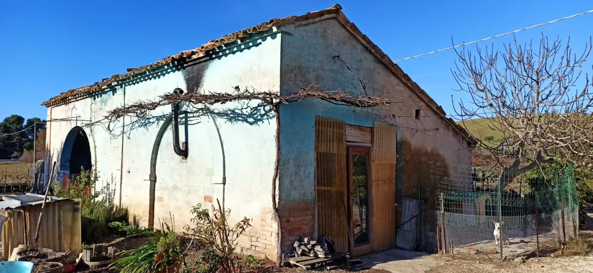 Casale marchigiano su 2 livelli con annesso e corte esclusiva piantumata · foto 8