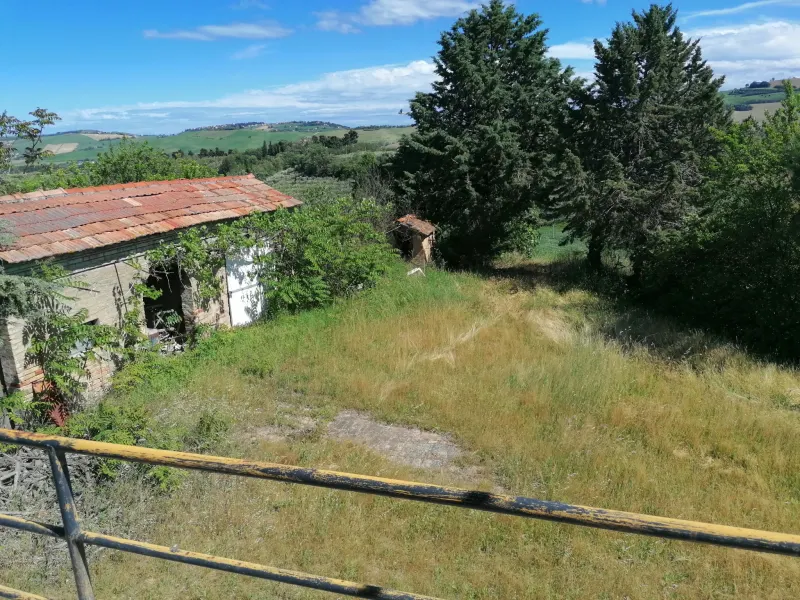 Casale marchigiano su 2 livelli piu' soffitta, porticato e ampio annesso, con corte di mq. 2000 ca. Posizione panoramica vista mare con mq. 60.000 di terreno pianeggiante con 200 ulivi e alberi di frutto. · foto 5