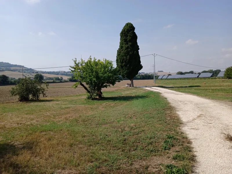Casa singola con due appartamenti · foto 4