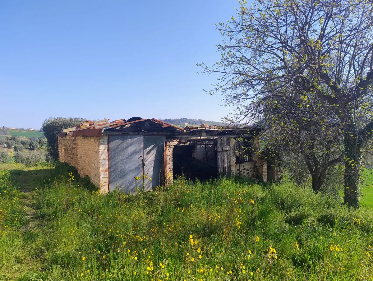 Casale di ampia metratura diviso in due unita' immobiliari piu' annesso per possibile  terza unita' immerso nel verde, in parte ristrutturato. · foto 46