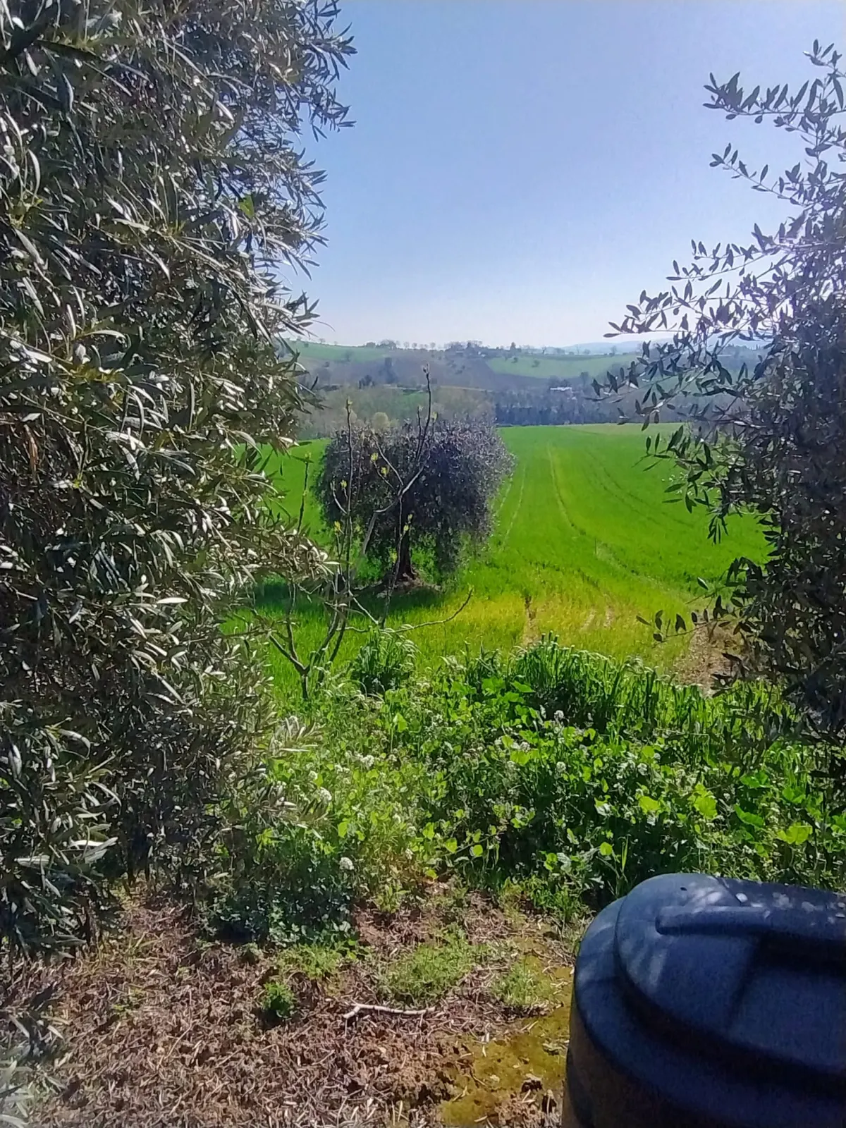 Casale di ampia metratura diviso in due unita' immobiliari piu' annesso per possibile  terza unita' immerso nel verde, in parte ristrutturato. · foto 50