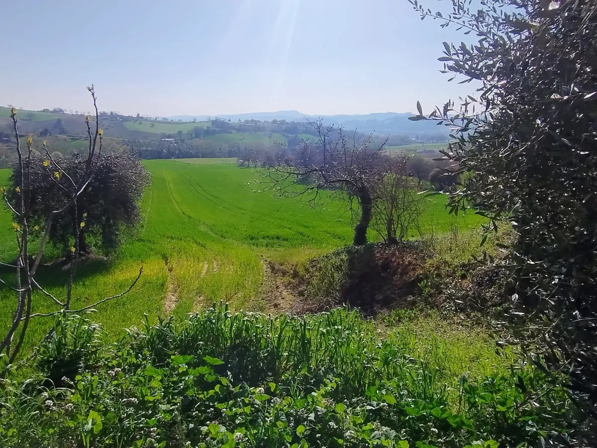Casale di ampia metratura diviso in due unita' immobiliari piu' annesso per possibile  terza unita' immerso nel verde, in parte ristrutturato. · foto 54