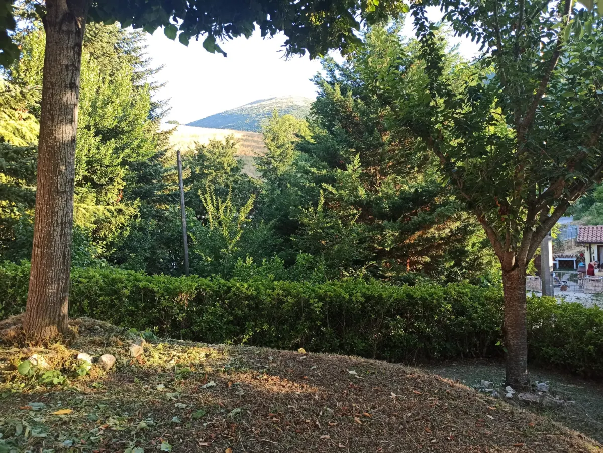 Abitazione indipendente a 2 Km. dalle piste da sci, mq. 135 ca. + mq. 100 di  annesso con 30.000 mq.. di terreno. · foto 20
