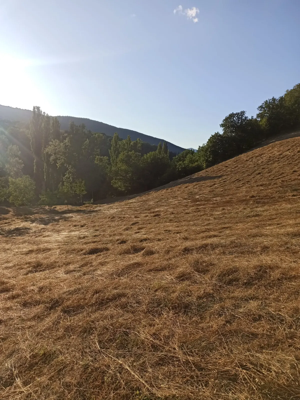 Abitazione indipendente a 2 Km. dalle piste da sci, mq. 135 ca. + mq. 100 di  annesso con 30.000 mq.. di terreno. · foto 27