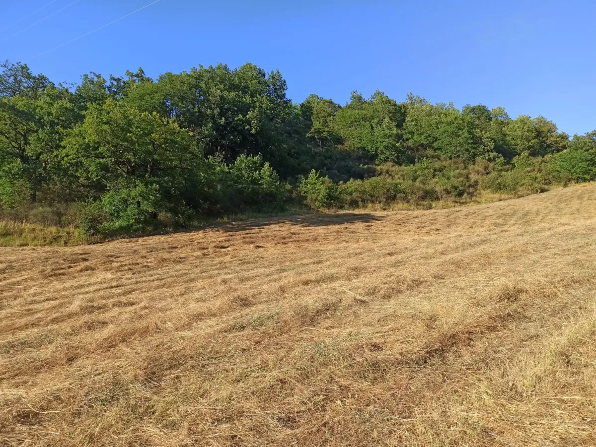 Abitazione indipendente a 2 Km. dalle piste da sci, mq. 135 ca. + mq. 100 di  annesso con 30.000 mq.. di terreno. · foto 29
