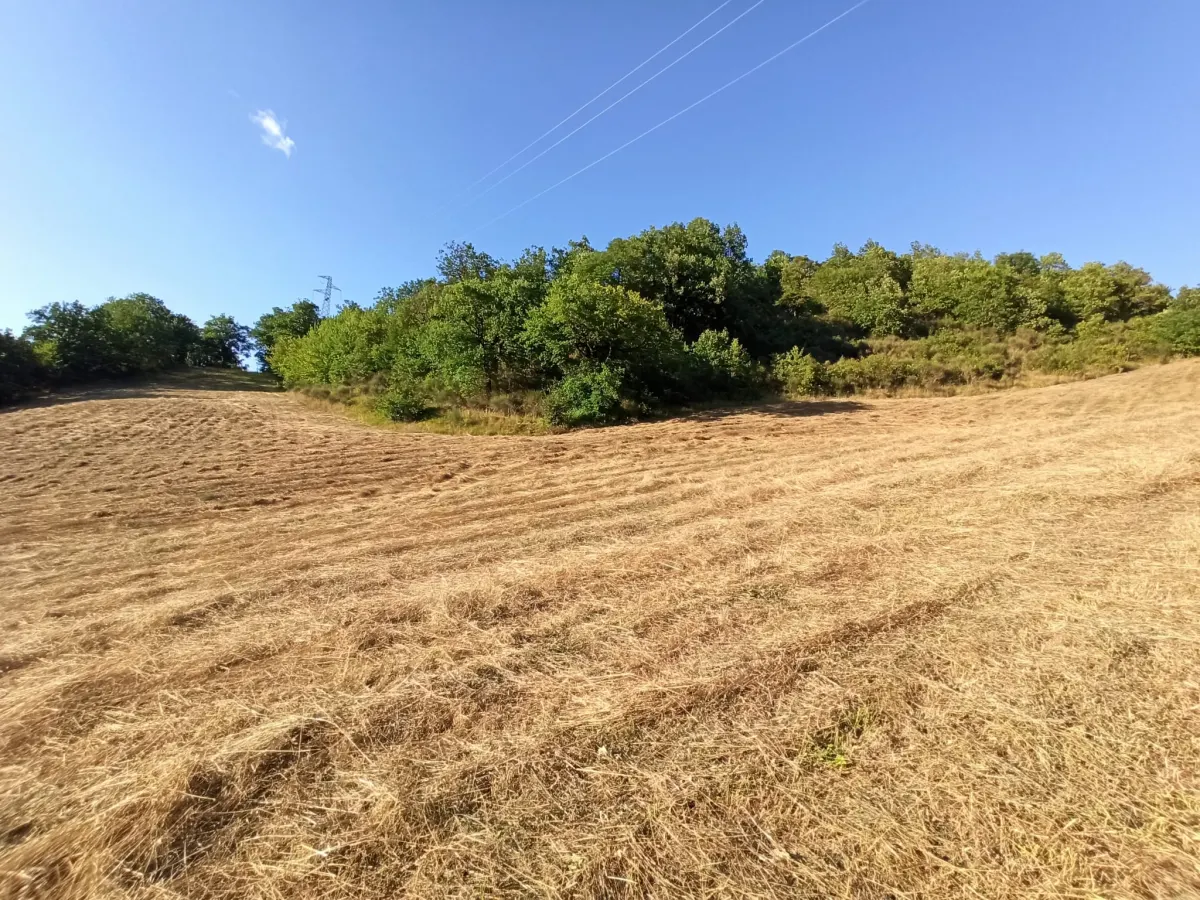 Abitazione indipendente a 2 Km. dalle piste da sci, mq. 135 ca. + mq. 100 di  annesso con 30.000 mq.. di terreno. · foto 30